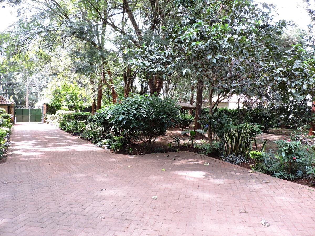 Milimani Backpackers Hostel ไนโรบี ภายนอก รูปภาพ